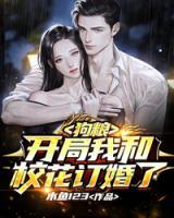 陈风苏晴小说阅读