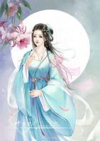 南如月沈决小说阅读