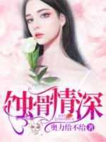 蚀骨情深小说阅读