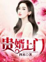 贵婿上门小说阅读