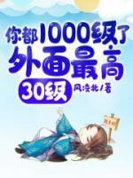 你都1000级了，外面最高30级！小说阅读