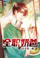 全职奶爸小说阅读