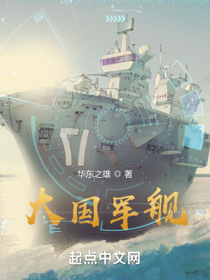 大国军舰小说阅读