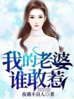 我的老婆谁敢惹小说阅读