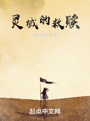 灵域的救赎小说阅读