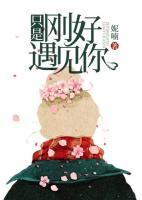 只是刚好遇见你小说阅读