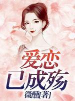 爱恋已成殇小说阅读