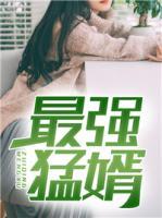 最强猛婿小说阅读