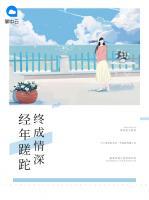 经年蹉跎终成情深小说阅读