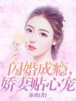 闪婚成瘾，娇妻贴心宠小说阅读