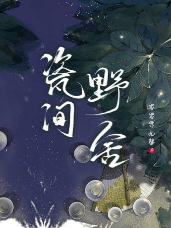 瓷间野舍小说阅读