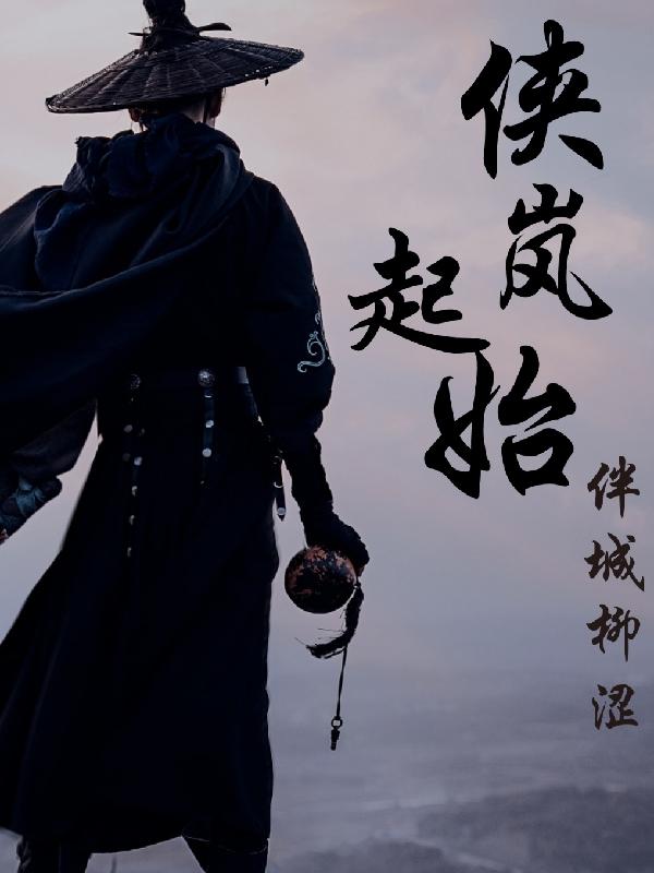 侠岚起始小说阅读
