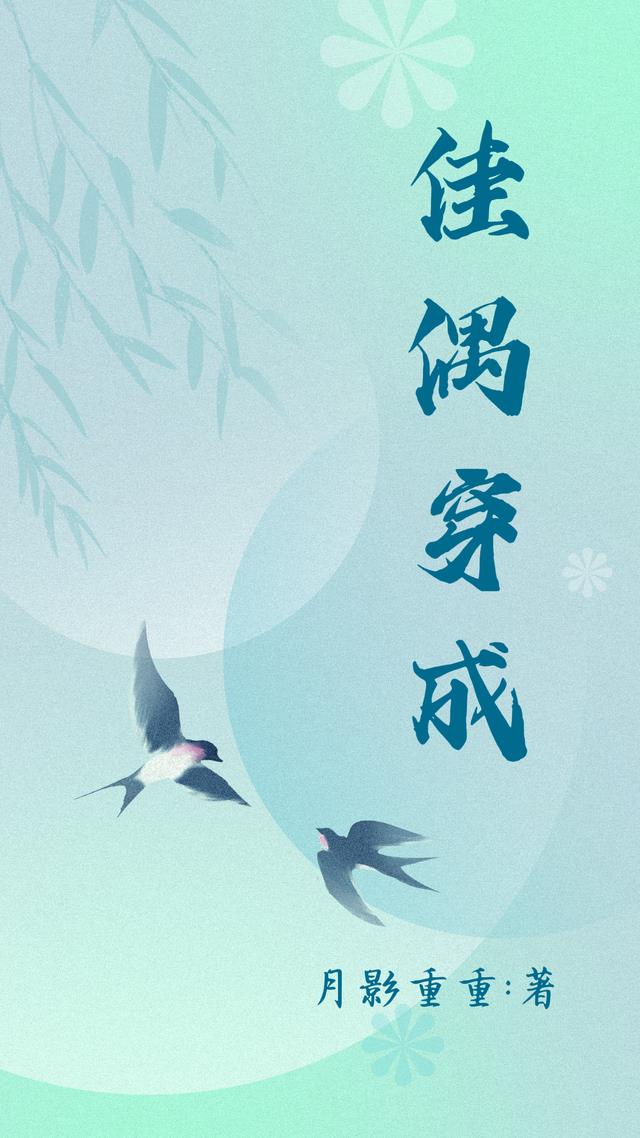 佳偶穿成小说阅读