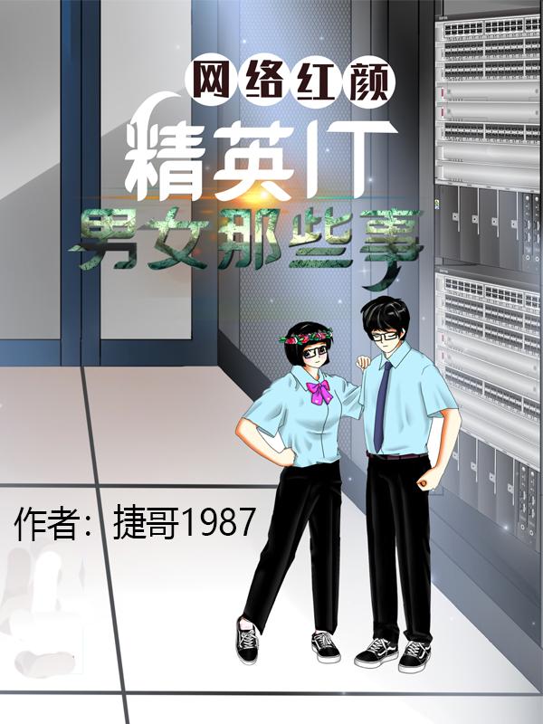 网络红颜：精英IT男女那些事小说阅读