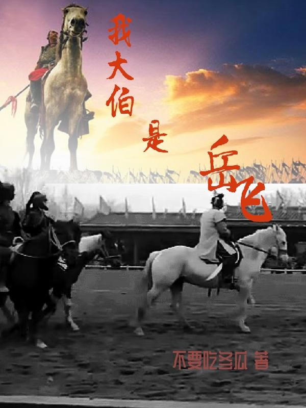 我大伯是岳飞小说阅读