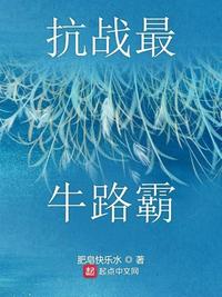 抗战最牛山寨小说阅读