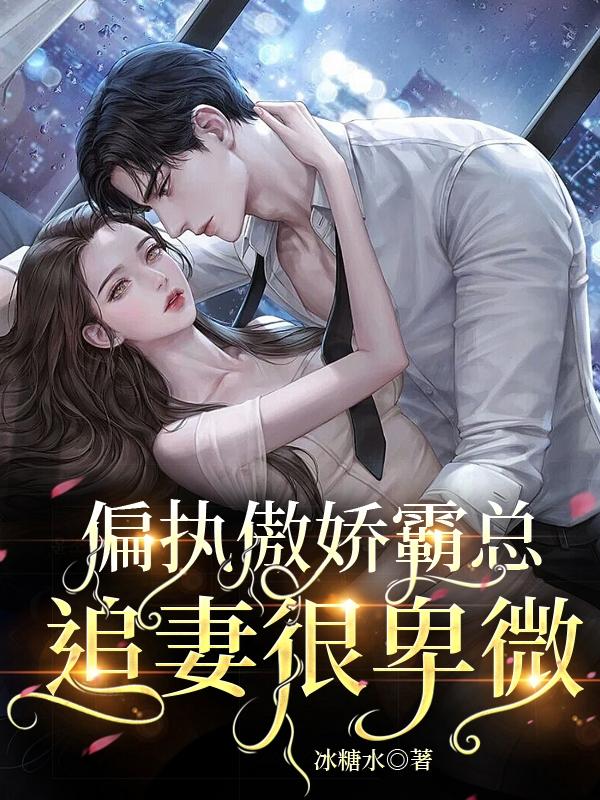 偏执傲娇霸总追妻很卑微小说阅读