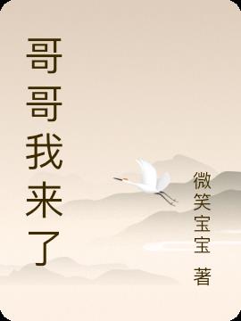 哥哥我来了小说阅读
