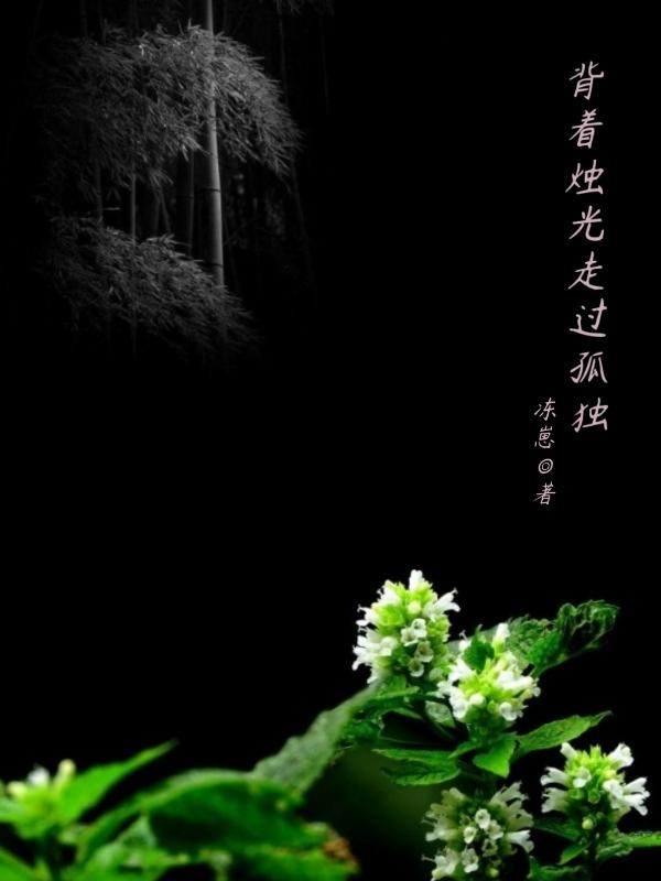 背着烛光走过孤独小说阅读