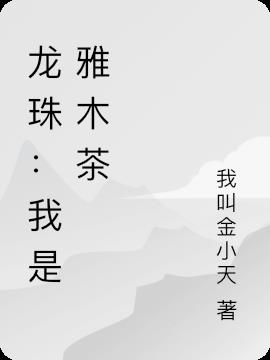 龙珠：我是雅木茶小说阅读