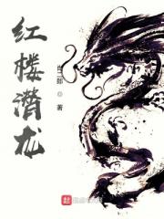 红楼潜龙小说阅读