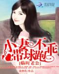 临时老公：小妻不乖带球跑小说阅读