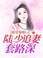 霸爱强婚：陆少追妻套路深小说阅读