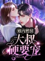 婚内燃情：大叔，硬要宠小说阅读