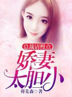总裁请慢点：娇妻太胆小小说阅读