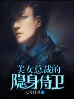 美女总裁的隐身侍卫小说阅读