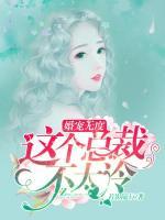 婚宠无度：这个总裁不太冷小说阅读