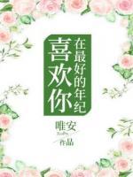 在最好的年纪喜欢你小说阅读