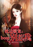 枕边暖宠：boss别惹我小说阅读