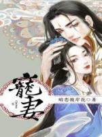 宠妻小说阅读