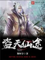 盗天仙途小说阅读