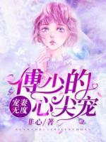 宠妻无度：傅少的心尖宠小说阅读