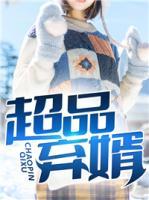 超品弃婿小说阅读