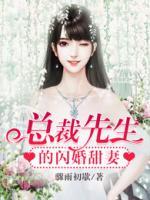总裁先生的闪婚甜妻小说阅读