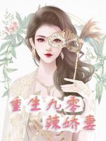 重生九零辣娇妻小说阅读