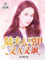 陆夫人马甲又A又飒小说阅读
