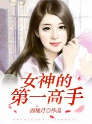 女神的第一高手小说阅读