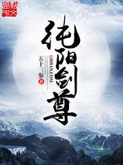 纯阳剑尊小说阅读