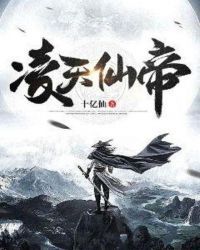 凌天仙帝小说阅读