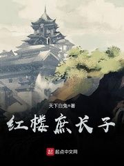 红楼庶长子小说阅读