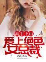 秦天叶倾城小说阅读