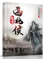 大唐西北侯小说阅读
