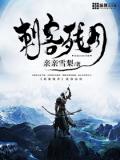 刺客残月小说阅读