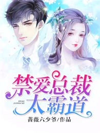 禁爱总裁太霸道 作者：佚名