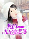 我的九尾狐老婆小说阅读