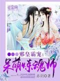 邪皇霸宠:呆萌炼魂师小说阅读